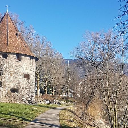 Ferienwohnung Nickmann Im Scheffelhof Bad Sackingen Bagian luar foto